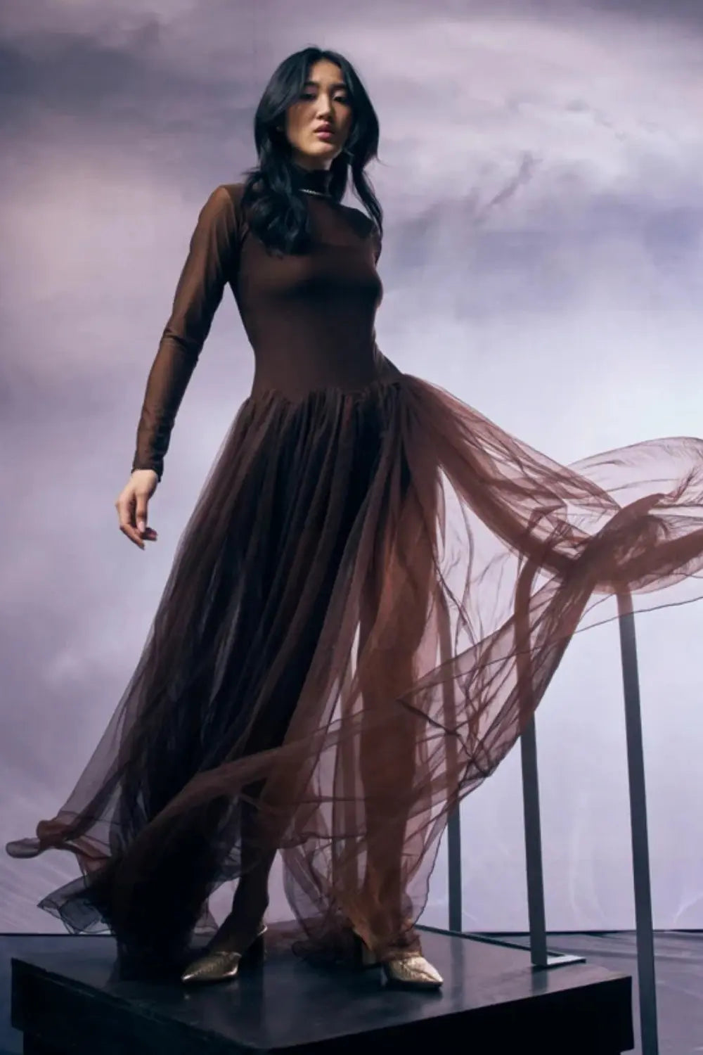 Midnight Veil Ivory Rose