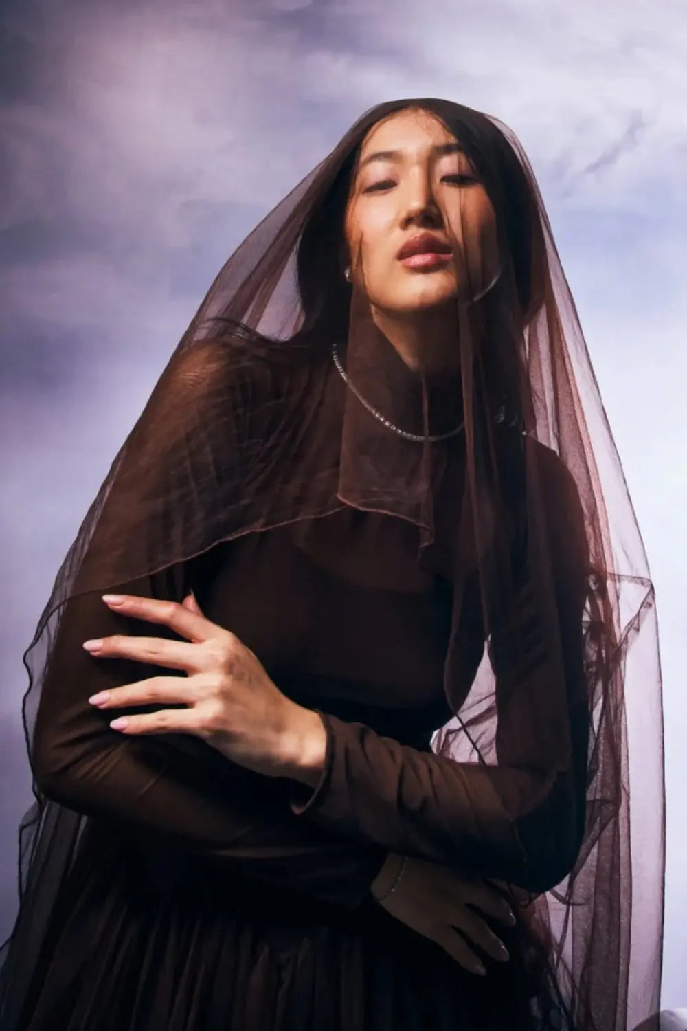 Midnight Veil Ivory Rose
